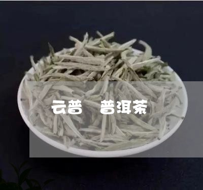 云普 普洱茶/2023042625860